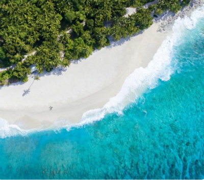 A beach with trees and blue water