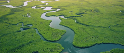 A river running through a green field.