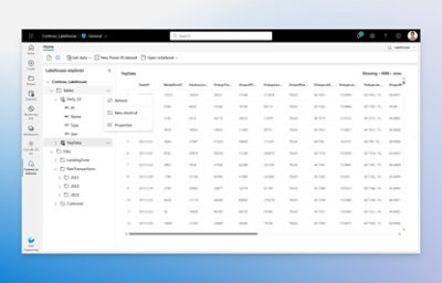 Průzkumník transakčního jezera je otevřený pro transakční jezero Contoso