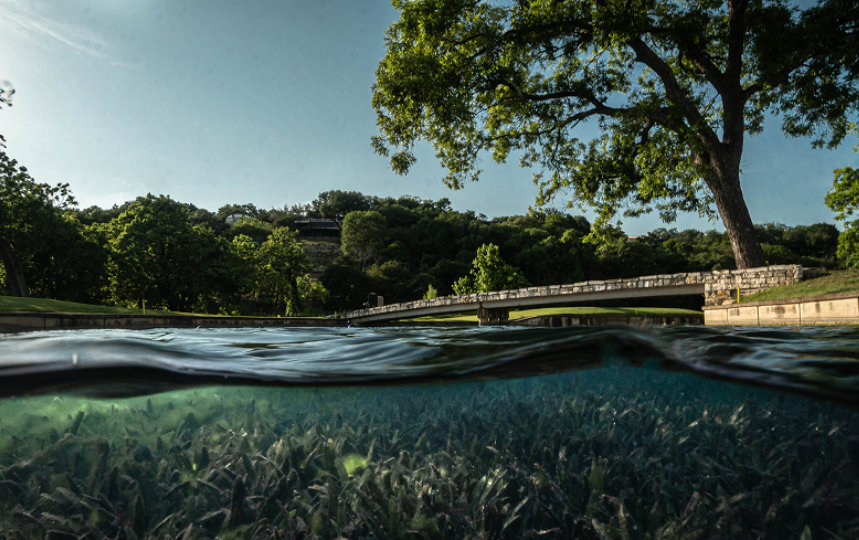 Simultaneous view of a lush green park with a pedestrian bridge above water and an underwater scene below with aquatic plants and clear water.