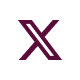 X logo icon