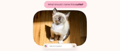 Image of a kitten with a question and Copilot seach prompt
