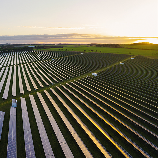 An aerial view of the Kotun Solar Project in Poland, showcasing an expansive green field covered with numerous solar panels adjacent to farmland. An aerial view of the Kotun Solar Project in Poland, showcasing an expansive green field covered with numerous solar panels adjacent to farmland.